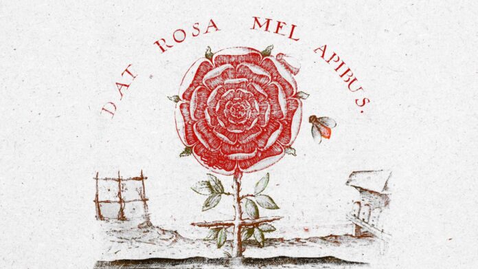 O que é a Filosofia para o Rosacruz?